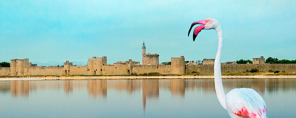 Slider_oferta_Provenca_1