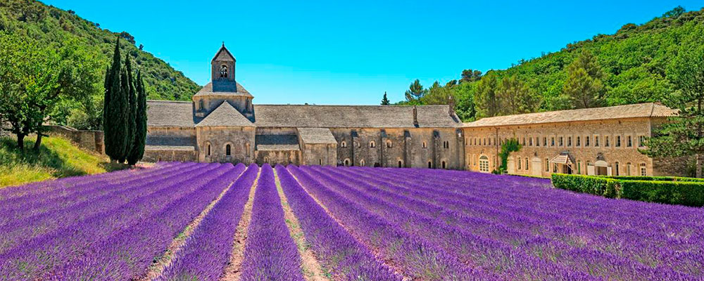 Slider_oferta_Provenca_5